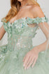 Floral Appliqués Off Shoulder Ball Gown for Women, Sizes 4/XS-16/3X